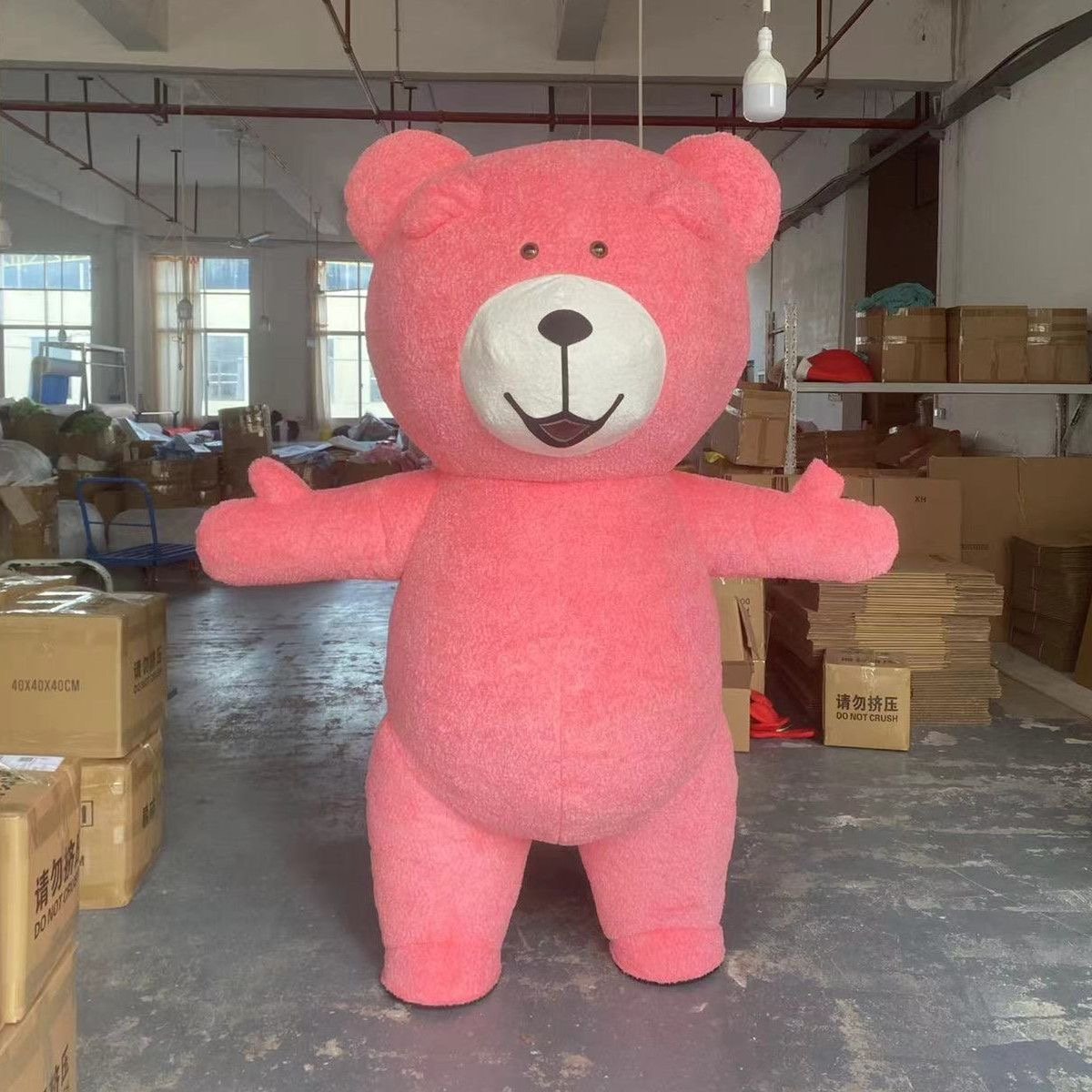 Teddy Bear Mascot