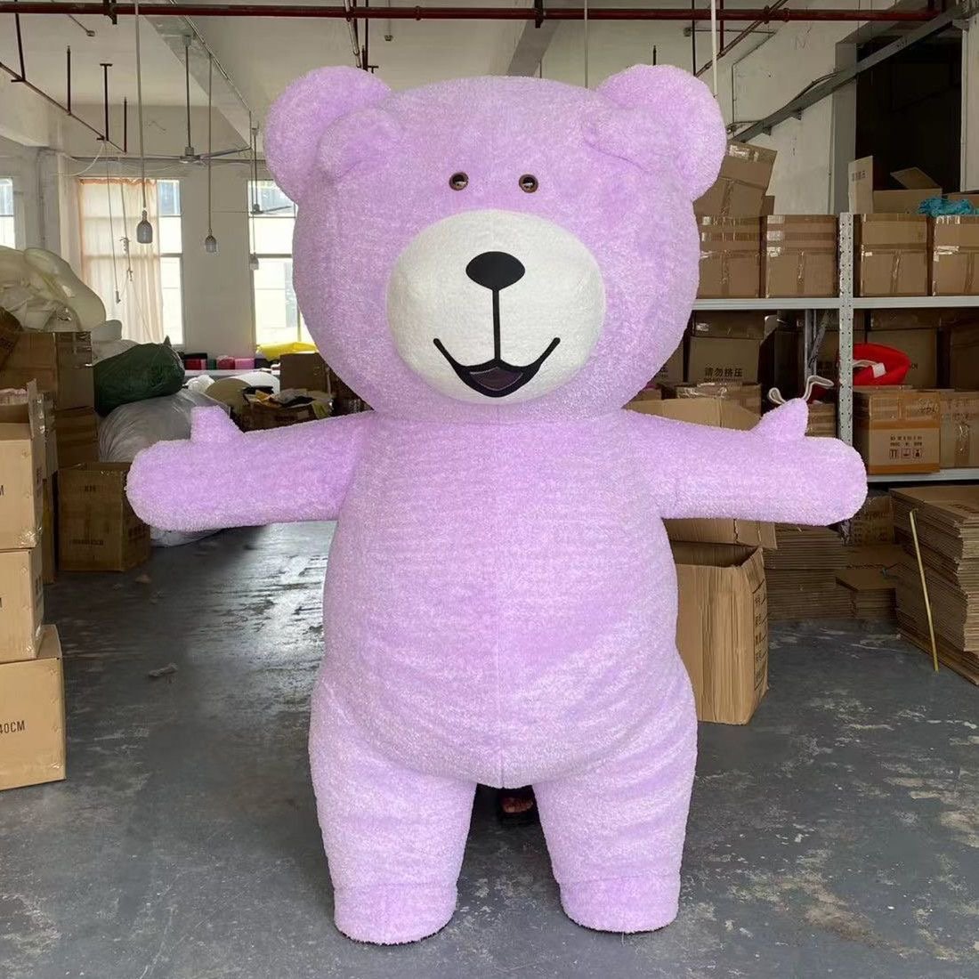 Teddy Bear Mascot