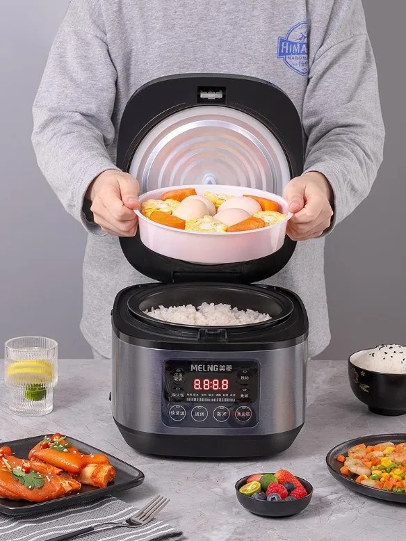 Deluxe Rice Cooker